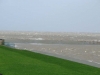 fotomarga10