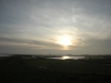 breebaard