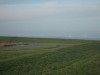 puntvanreide3